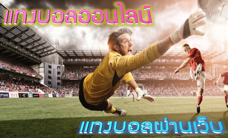 แทงบอลผ่านมือถือ